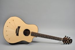 Babicz 2005 Ltd-6S D-esque Brazilian Signature Cutaway #11 Babicz 2005 Ltd-6S D-esque Brazilian Signature Cutaway #11