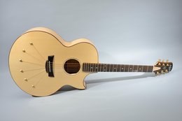 Babicz 2004 Ltd-6S Colossal Maple Signature Cutaway #7 Babicz 2004 Ltd-6S Colossal Maple Signature Cutaway #7