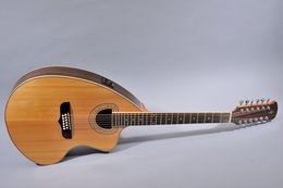 Giannini 2013 Craviola 12 String Vintage Natural Giannini 2013 Craviola 12 String Vintage Natural