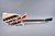 Gibson 1985 USA Map US Flag Design on White ground w/White Back