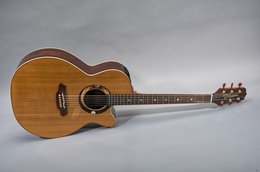Takamine 1997 LTD ‘98 Vintage Natural Takamine 1997 LTD ‘98 Vintage Natural