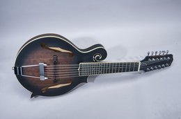 Gold Tone 2020 F-12 F-Style 12 String Mando Guitar Tobacco Sunburst Gold Tone 2020 F-12 F-Style 12 String Mando Guitar Tobacco Sunburst