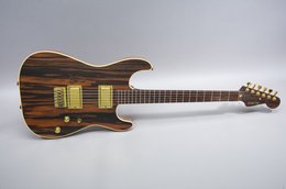 Schecter 1981 Stratocaster Hardtail Dream Machine Brazilian Rosewood Schecter 1981 Stratocaster Hardtail Dream Machine Brazilian Rosewood