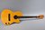 Gibson 1989 Chet Atkins SST EX-Basile Leroux