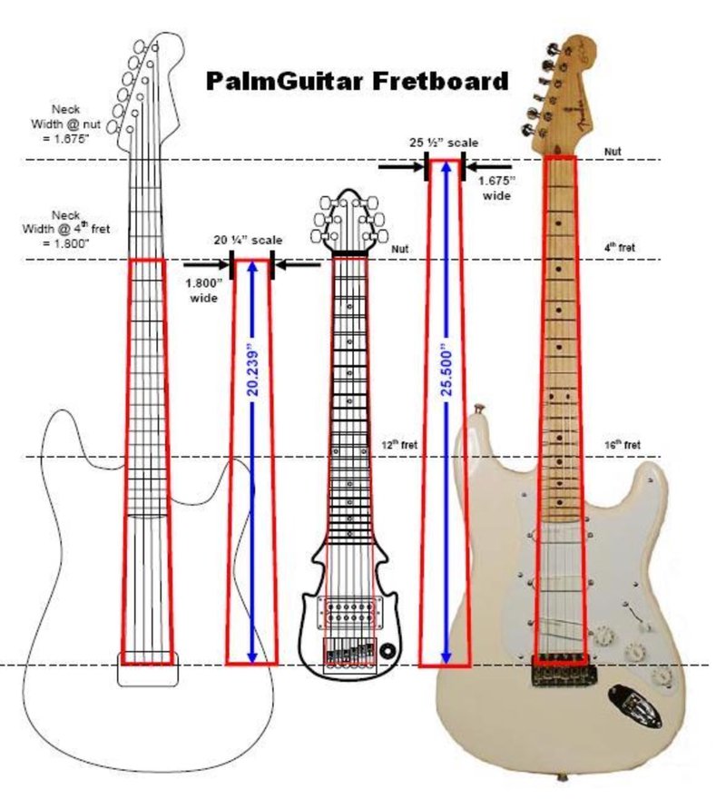 Palm Scale