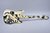 Fender 2004 Stratocaster “Critter Jungle" #2 of 2 Artwork by Gina Schatz & Painted by Pamelina H.